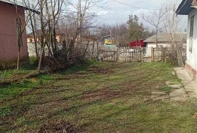 Casă cu 4 camere cu Teren 1110 Mp în Vlad Țepeș - 4
