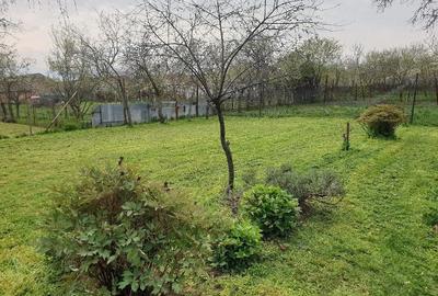 Casă cu 4 camere cu Teren 1600 Mp în Orțișoara - 1