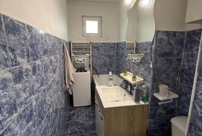 Apartament cu 2 camere nedecomandat, mobilat în Iosefin - 7