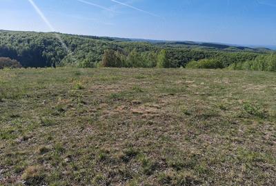 Teren de 18000 mp, în Șerani - 1