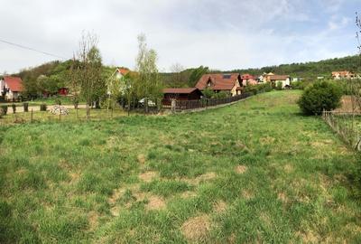 PROPRIETAR Vand teren intravilan 2600 mp pentru casa in localitatea Bardesti - 3