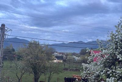 Casă cu 4 camere în Gura Râului - 3