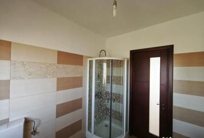 Casă cu 5 camere cu Teren 1792 Mp în Mitocu Dragomirnei - 9