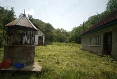 Casă cu 3 camere în Hălmagiu - 4