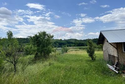 Casă cu 3 camere cu Teren 8774 Mp în Albota - 5