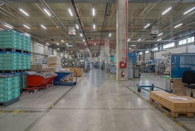 Hală industrială 5.000–12.000 mp de închiriat, Ghimbav - 17