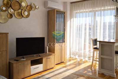 Apartament cu 2 camere semidecomandat în Domenii - 5