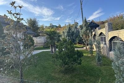 Casă cu 4 camere în Vișan - 4