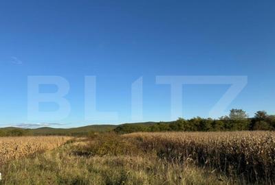 Teren extrvilan 1400mp in Branisca - 2