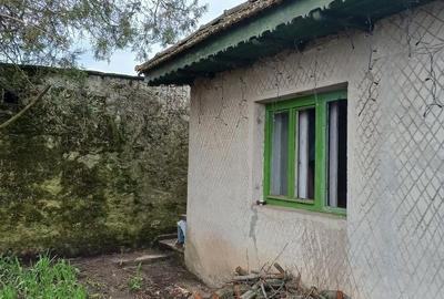 Casă cu Teren 1000 Mp în Cerchezu - 10