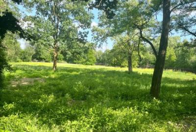 Teren de 10000 mp, în Vicovu de Sus - 4