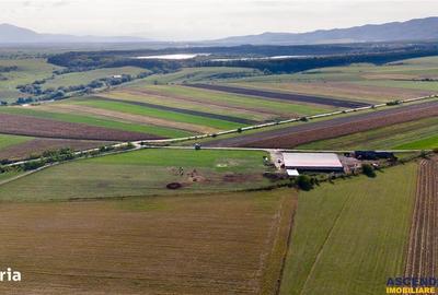 Teren de 18000 mp, în Feldioara - 4