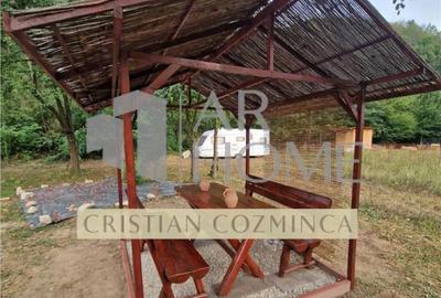 Teren cu constructii Cosmina de Sus - Foisor, baie, cabanuta - 4