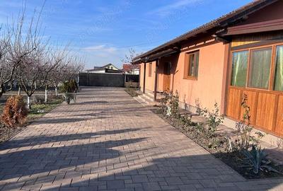 Vand casa pe parter in Becicherecul Mic Vand casa pe parter in Becicherecul Mic - 4