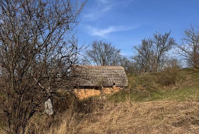 Spațiu comercial, în Cetariu - 2