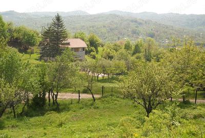 Teren în Toculești - 8
