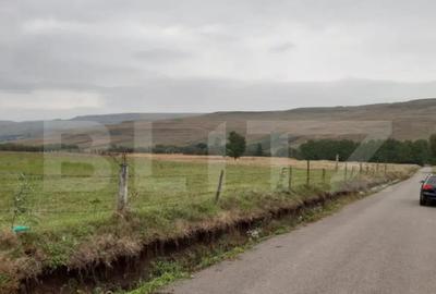 Teren de 5000 mp, în Fălticeni - 1