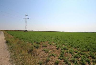 RECO, teren intravilan, Zona Sinteu, Bihor - 3