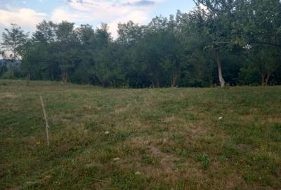 Teren intravilan Drajna 4062mp - 15