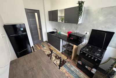 Apartament cu 2 camere decomandat, mobilat în Nicolae Grigorescu - 7