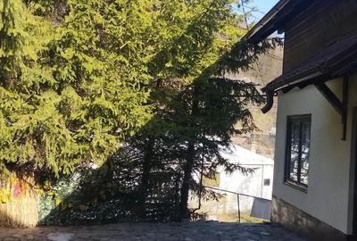Casă cu 6 camere cu Teren 1200 Mp în Cheia - 7