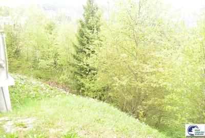 Teren în Cioplea - 2