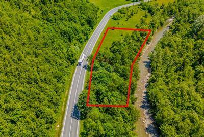 COMISION 0% Teren 3750mp / Sacele / DN1A / Poten?ial tu... - 5