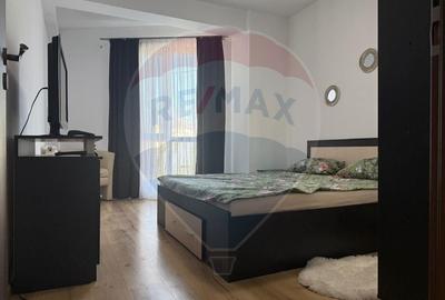 Apartament cu 2 camere semidecomandat, mobilat în Bucureștii Noi - 5