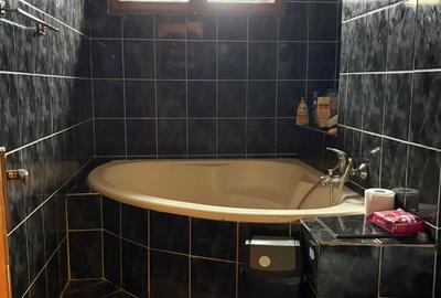 Apartament cu 3 camere semidecomandat în Podu Roș - 8