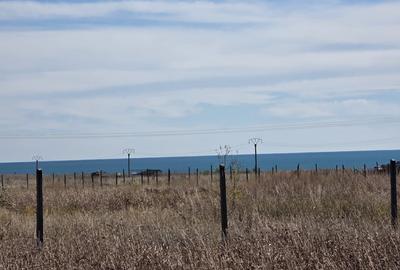 Teren intravilan 548 mp in Corbu, ideal pentru investitie Teren intravilan 548 mp in Corbu, ideal pentru investitie - 4