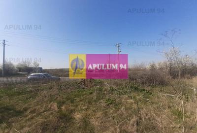 Teren Construcții intravilan de 4800 mp, în Glina - 7
