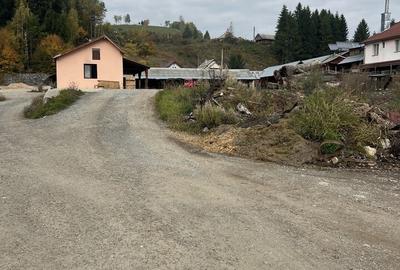 Teren Construcții intravilan de 4439 mp, în Bistra - 2