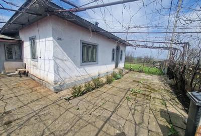 Casă cu 4 camere cu Teren 2170 Mp în Nucetu - 6