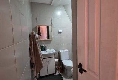 Apartament cu 2 camere decomandat în Podul de Fier - 9