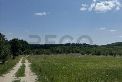 Teren de 685 mp, în Paleu