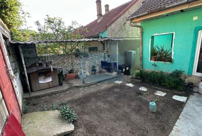 Casă cu 3 camere cu Canalizare în Muncitoresc - 10