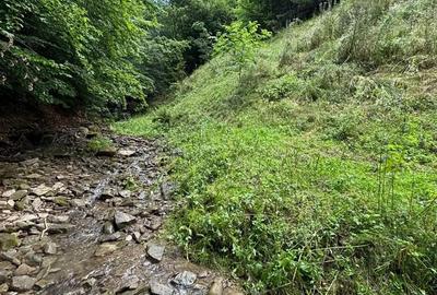 Teren de 35000 mp, în Parva - 9