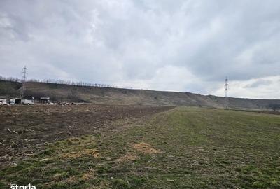 Teren de 5957 mp, în Central - 2