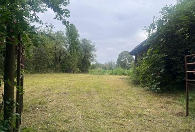 Teren Construcții intravilan de 2352 mp, în Pachia - 5