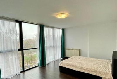 Studio + Centrala Proprie - Zona Tabacarie - 8