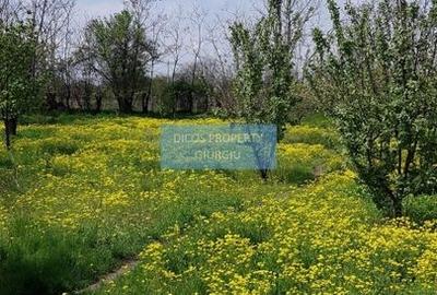 Teren 2.600 mp, utilități, Str. Merișor - Giurgiu - 3