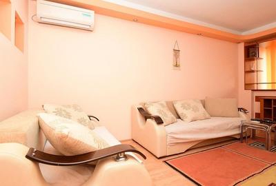 Apartament 2 camere / Str. Fizicienilor / Camil Ressu / mobilat / comision 0% - 3