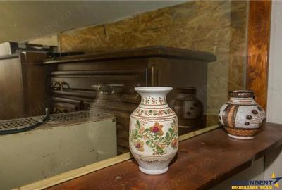 Proprietate autentica, stil traditional:Eco, cu parau pitoresc si vedere spectaculoasa, teren 900 mp - 2