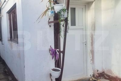 Casă cu 2 camere în Central - 4