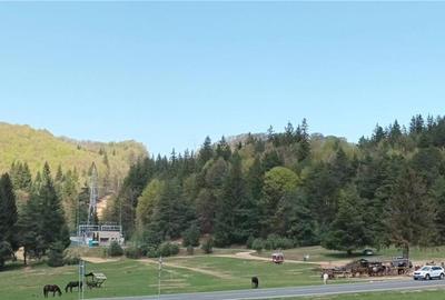 Teren cu potential:1.000 mp,proiect turistic rezidential,Poi - 4