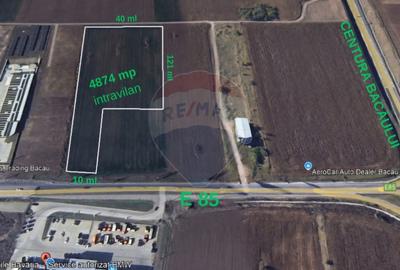 Teren Construcții intravilan de 4874 mp, în Nicolae Bălcescu