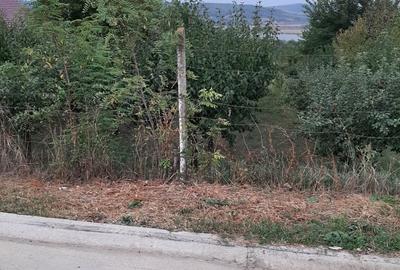 Spațiu comercial, în Central - 5