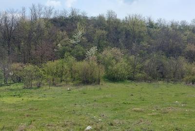 Teren în Central - 2