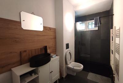 INCHIRIERE-APARTAMENT 2 CAMERE-PODU ROS - 8