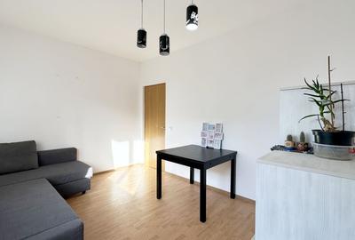 Apartament cu 2 camere decomandat, mobilat în Haliu - 22